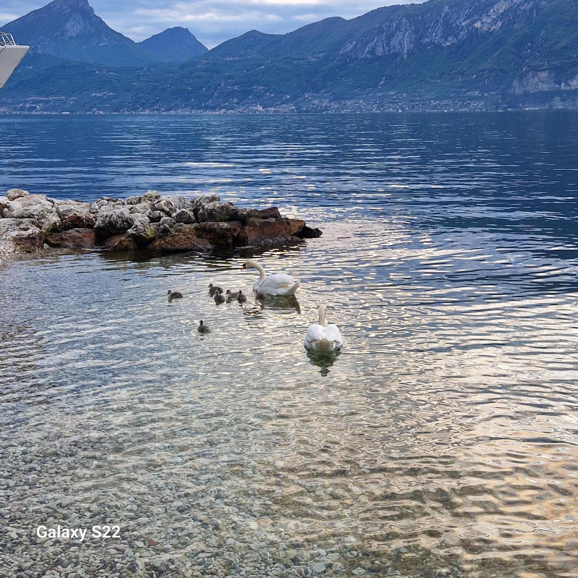 Il Nido Villa Brenzone sul Garda Buitenkant foto